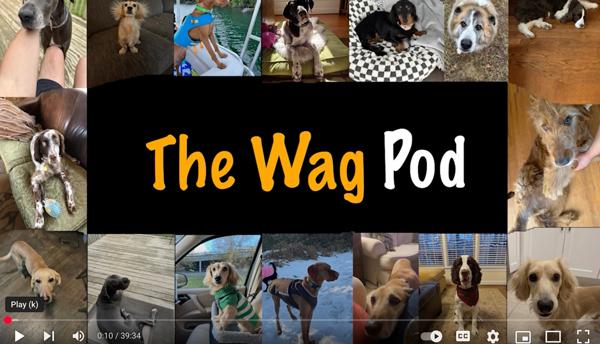 The Wag Pod