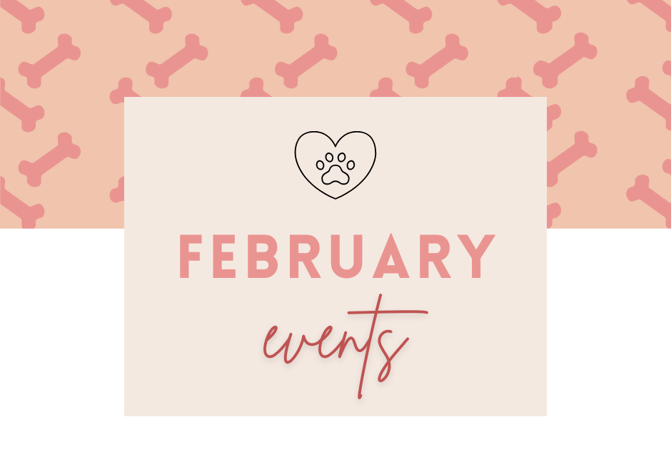 Image with text that says February Events
