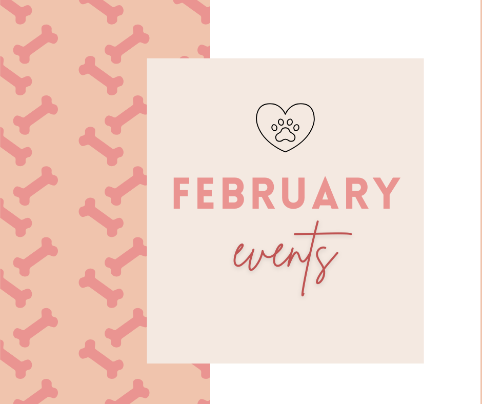 Image with text that says February Events